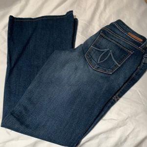 Level 99 flare jeans